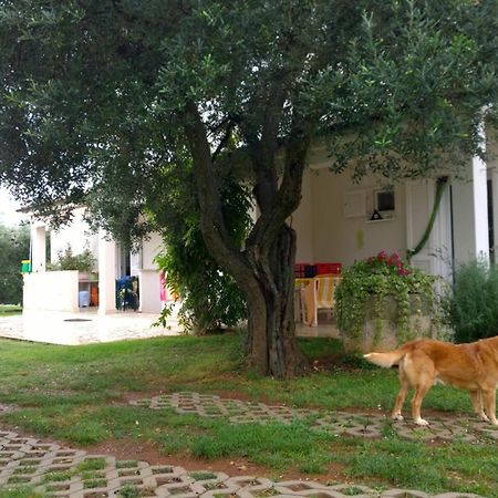 Apartment Free Parking Big Garden Peroj Dış mekan fotoğraf
