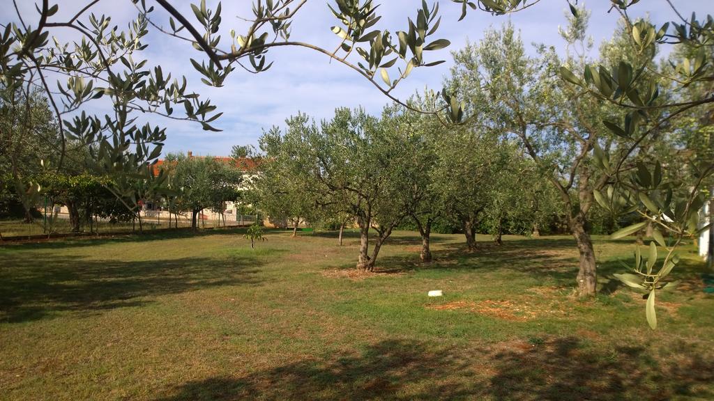 Apartment Free Parking Big Garden Peroj Dış mekan fotoğraf